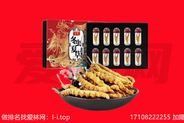 天峻虫草回收